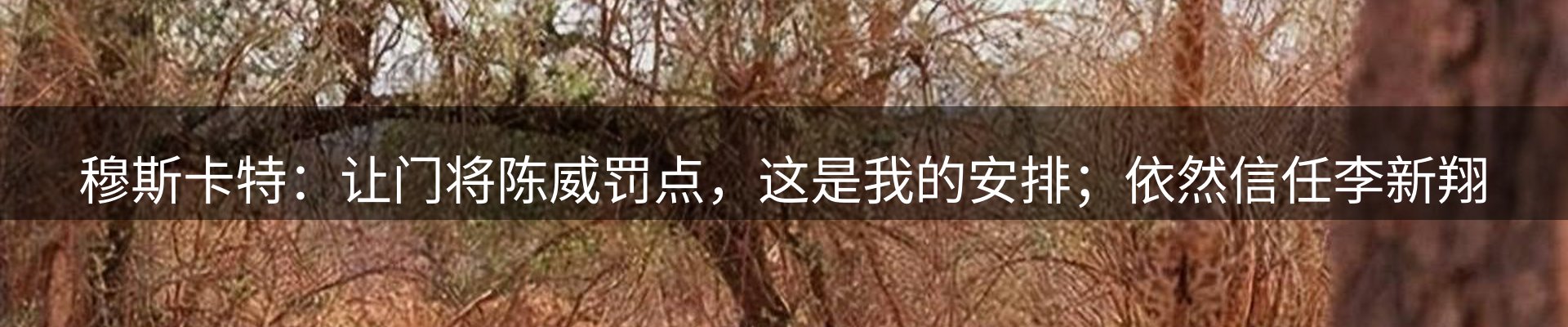 内页banner